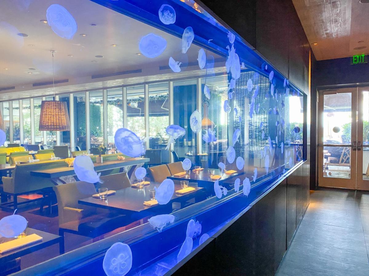 W Residences Fort Lauderdale Luxury Suites Across From Fort Lauderdale Beach Zewnętrze zdjęcie